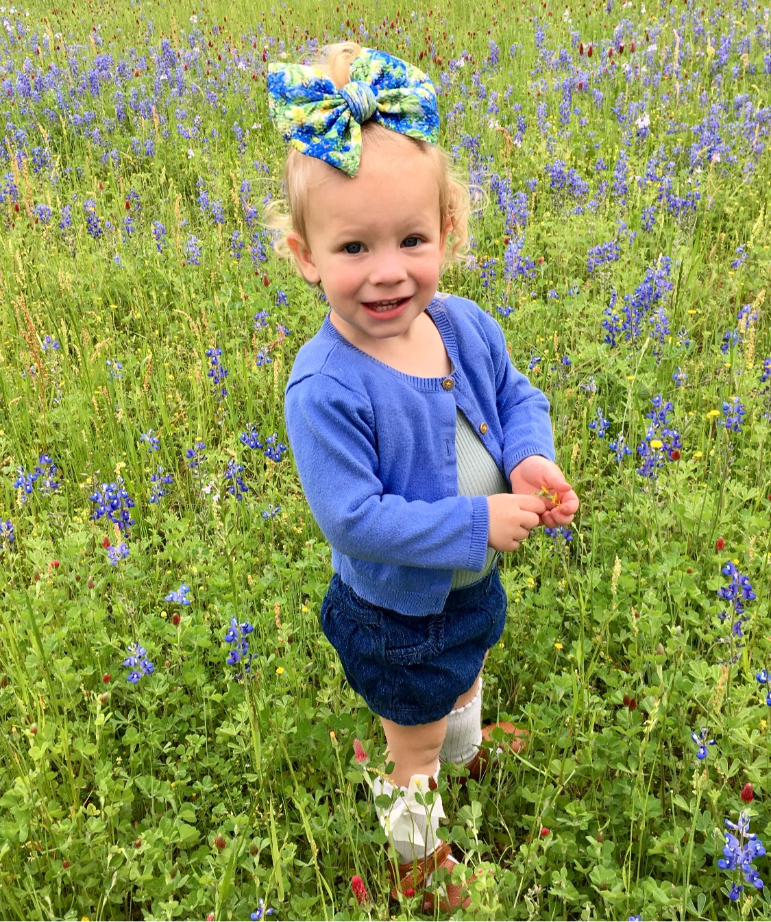 Bluebonnets- Bow Styles