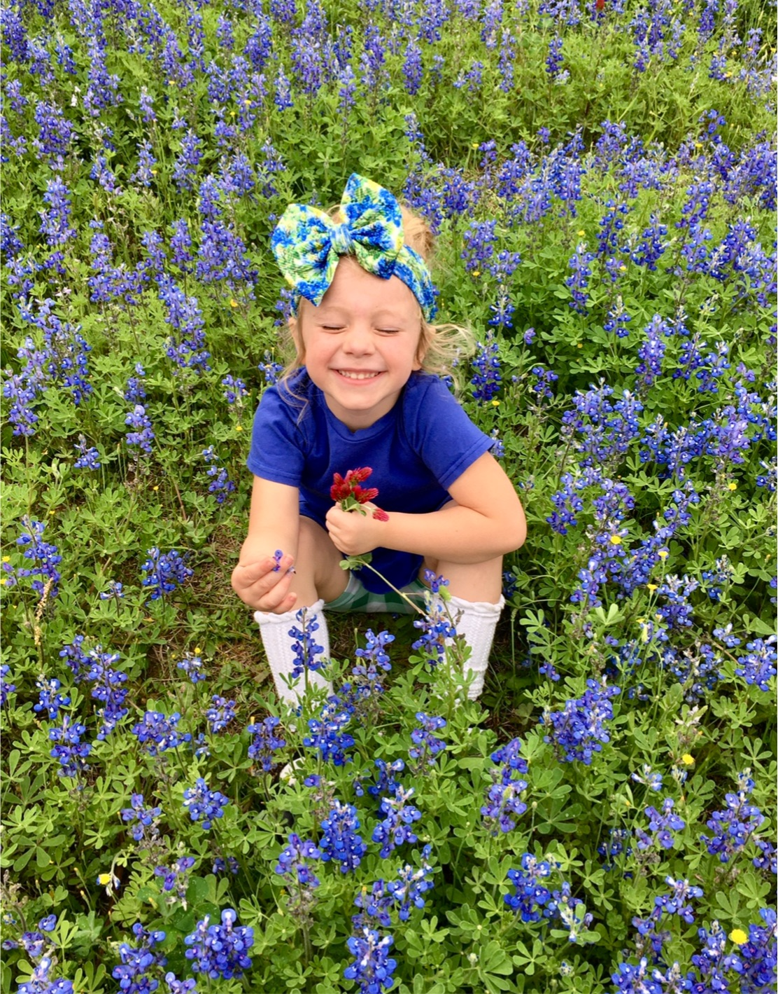 Bluebonnets- Wrap Styles