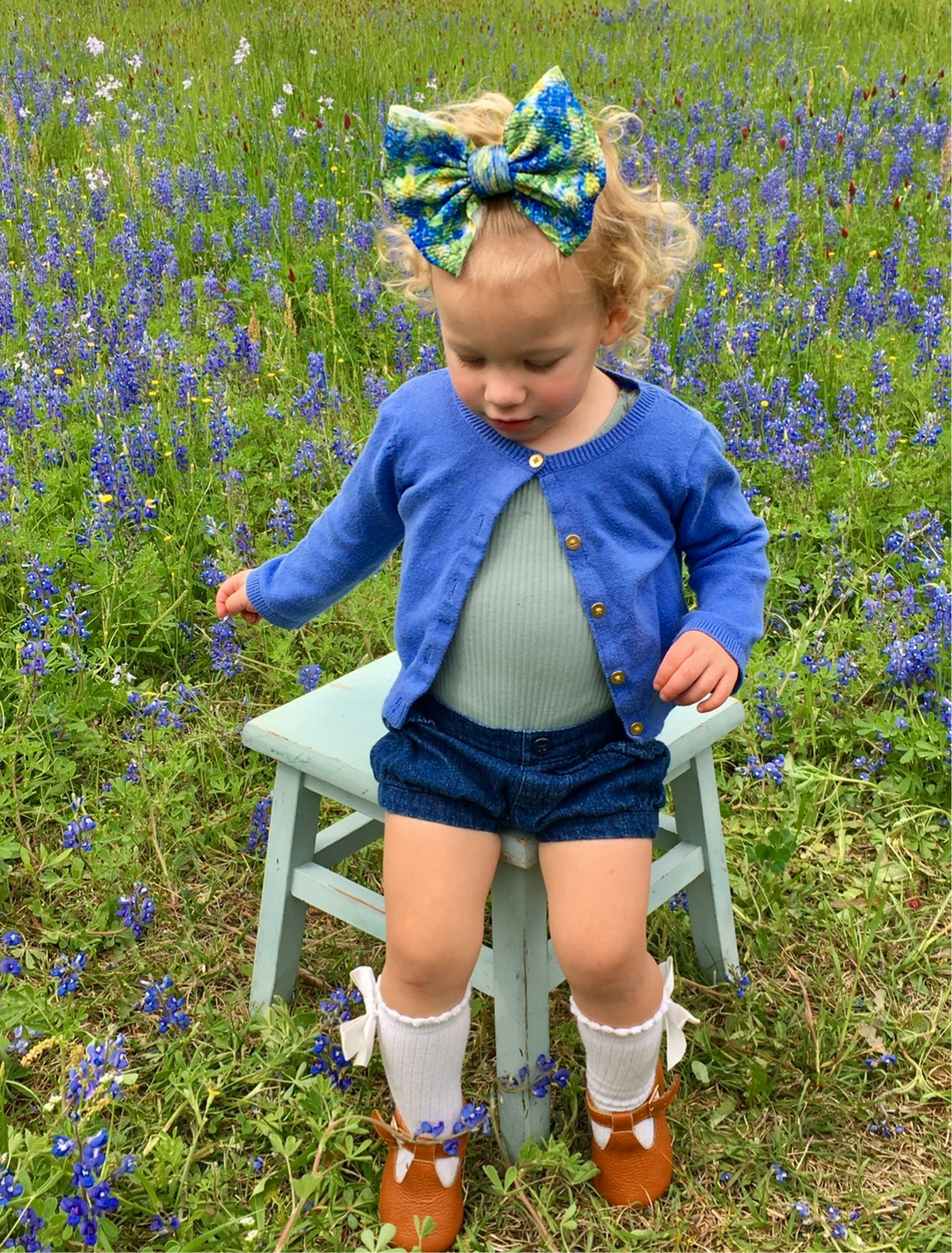 Bluebonnets- Bow Styles